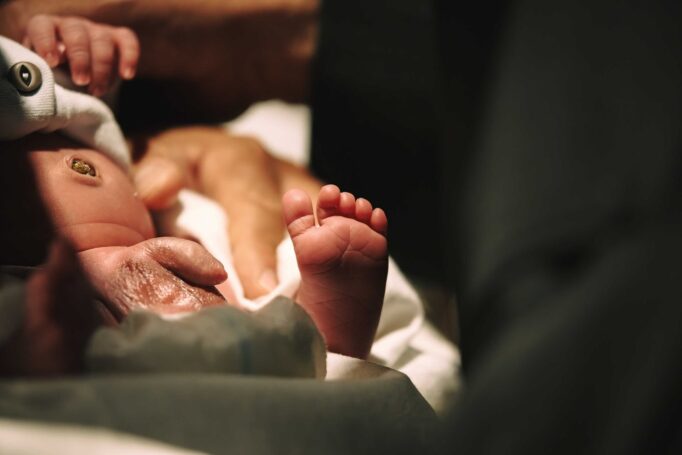 המיוחד בצילום לברית