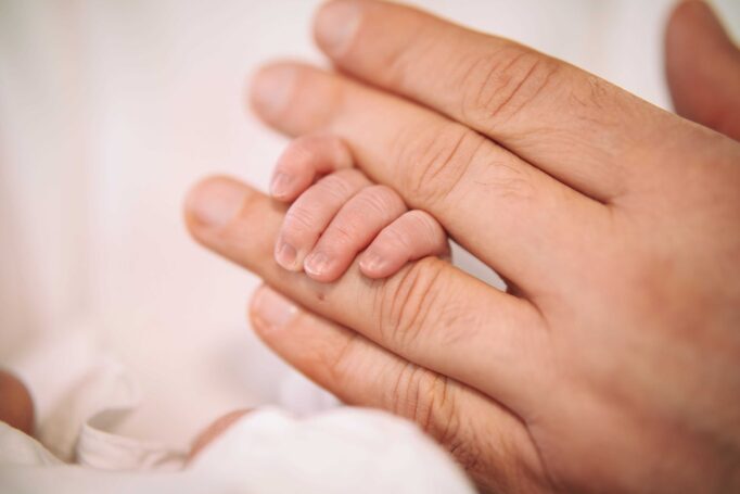 הזוויות בצילומי ניו בורן עם תאורה שבביתכם