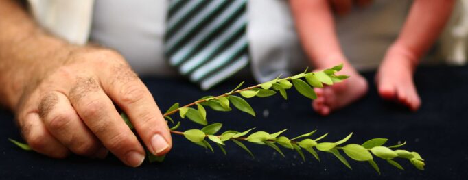 מאחורי ברית מילה או על מה המהומה