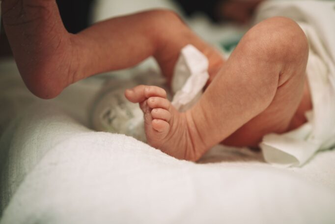 הרך הנולד - צלם לברית במסעדה