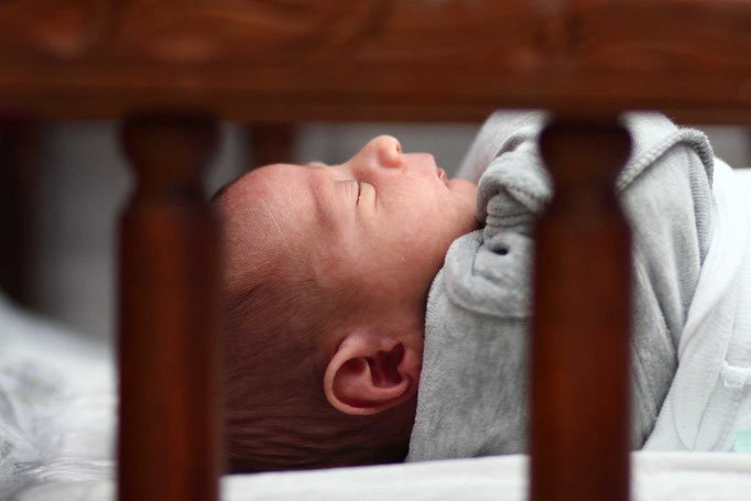 צלם אומן לברית